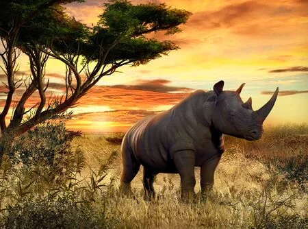 A rhino on green grass